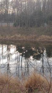 reflections